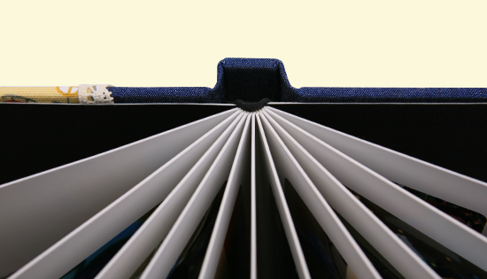 압축앨범 컬러감