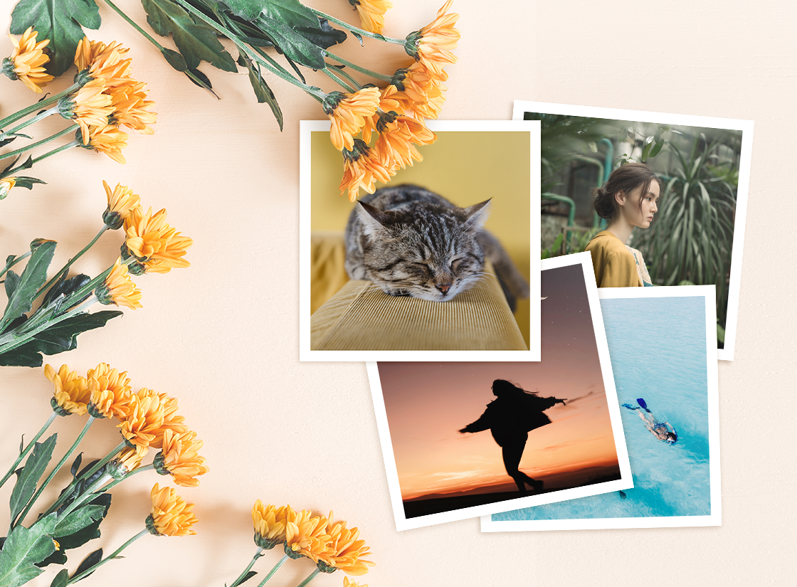 정사각 프린트팩